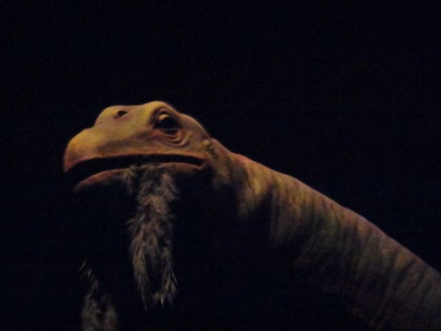 Younger will always see older as "prehistoric" relics