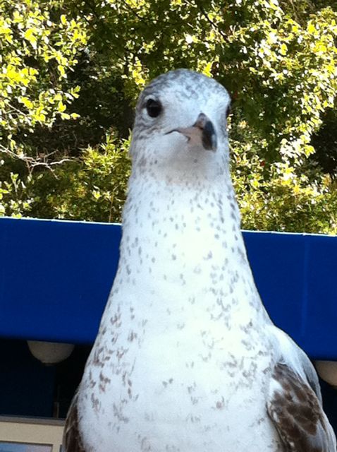 Whaddaya lookin' at? I dunno nuthin'.