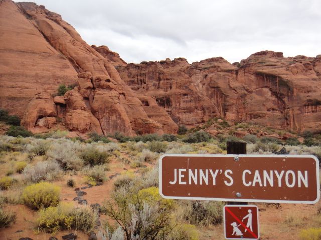 Canyons are great for creating echoes. So are personal stories.