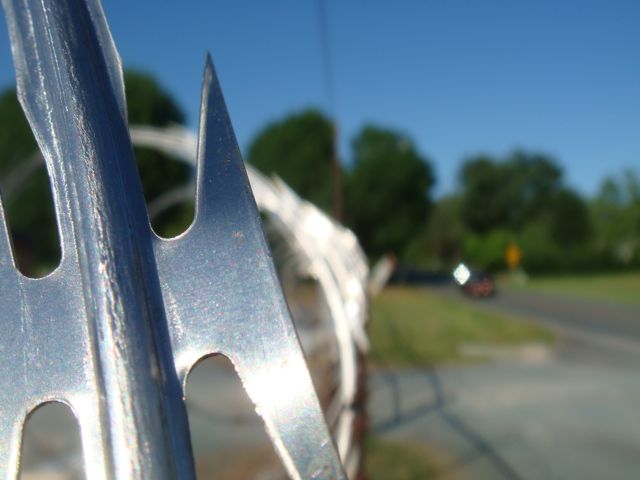 staying razor sharp? sharp