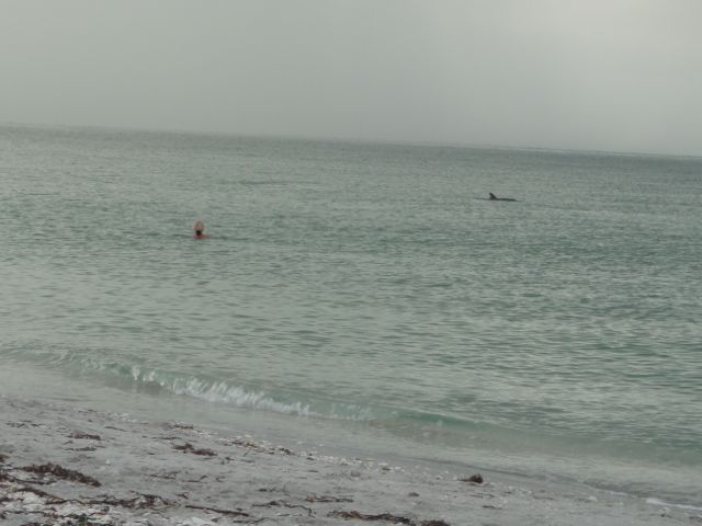 swimming rules