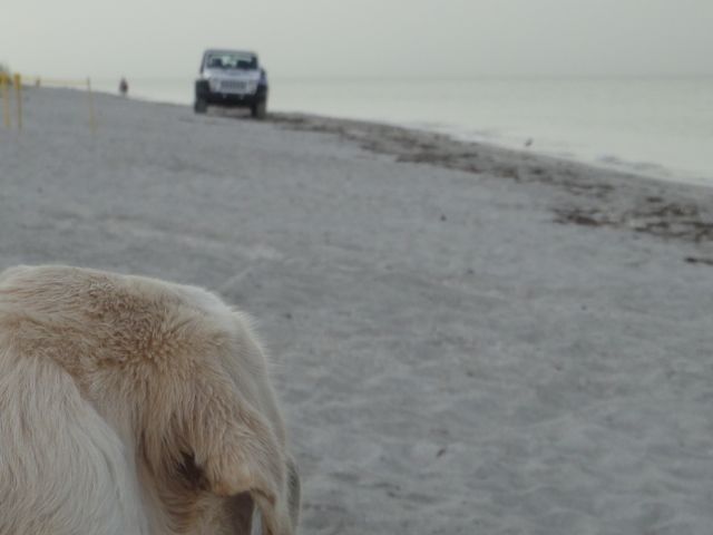 beach life