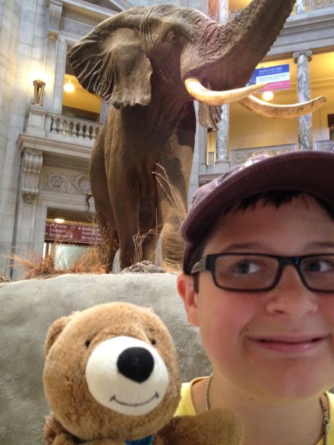 Museum of Natural History