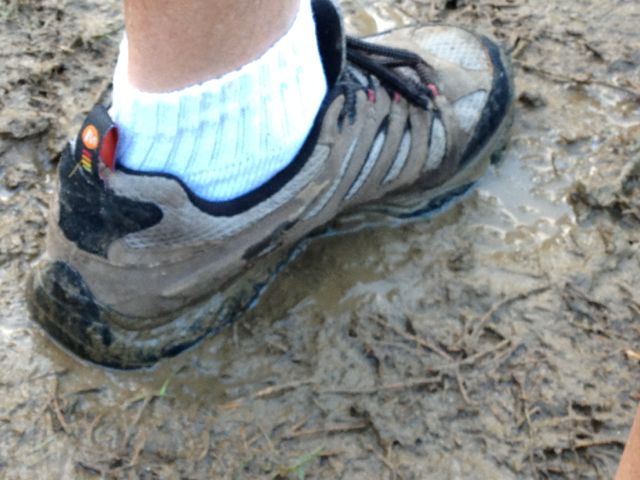 muddy grass