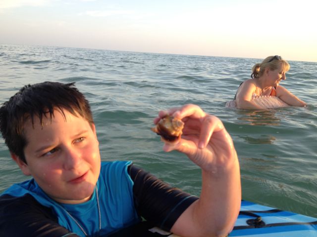 Sanibel Island beaches