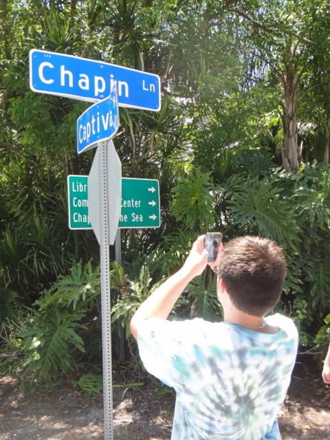 Dear Chapin