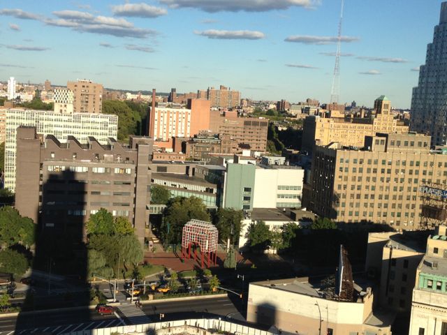 Indigo Hotel Brooklyn 17th floor