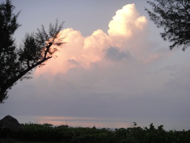 the sky, the ocean, the island, some trees... how much more do we need? important stuff
