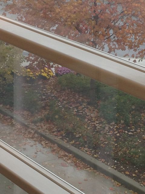 what we leave behind represents a window to our soul death