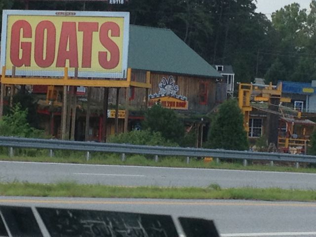 what the owners wouldn't give to have goats.com eh? dot com