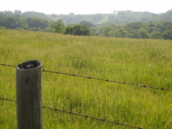 farmland