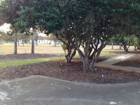 Precision Landscape landscaping project