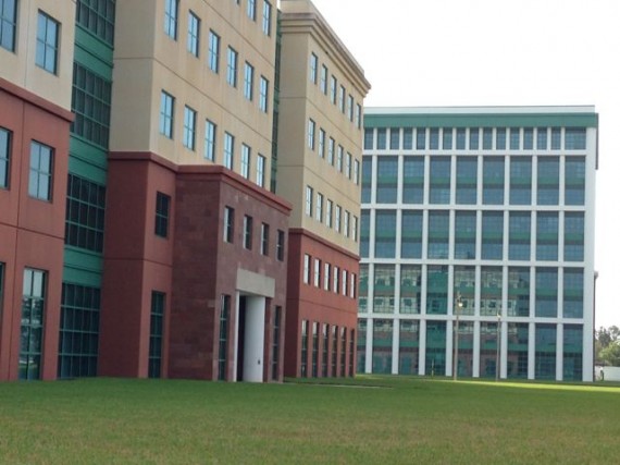 Buildings with zero landscaping