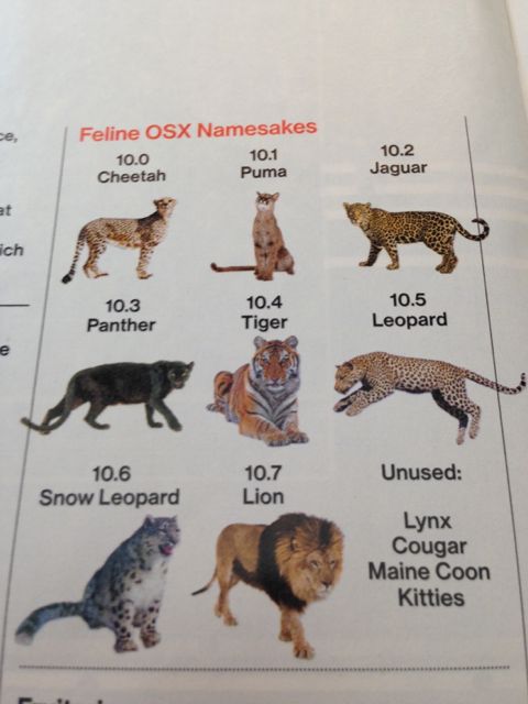 Apple OS names