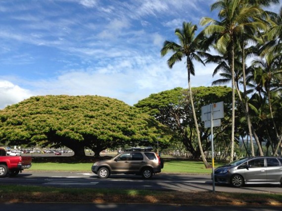 Downtown Hilo, Hawaii on a Saturday morning