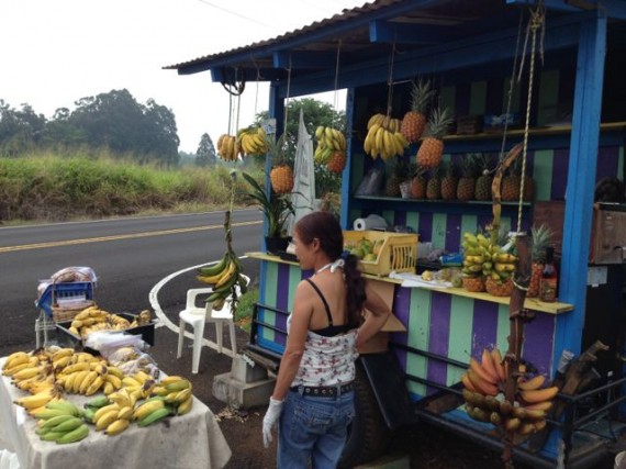 Hawaiian roadside fruit stand near Akaka Falls State Park