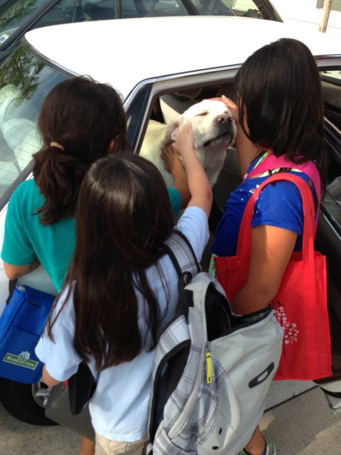 Dog surrounded by loving children
