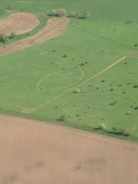 Christian fish outline from mowing design in grassy field