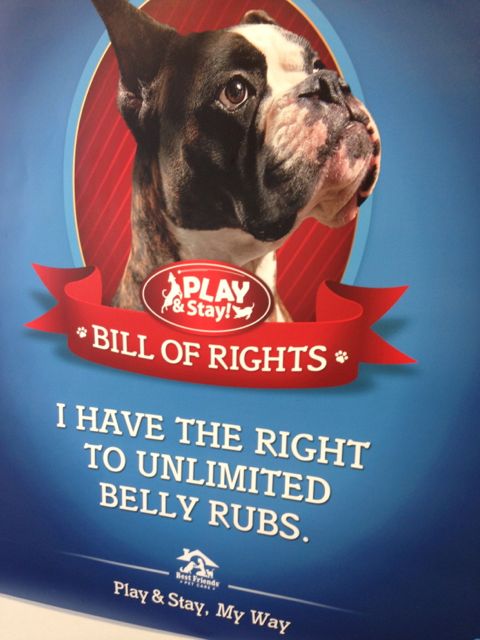 Funny Dog Poster at Disney's Best Friends Kennel