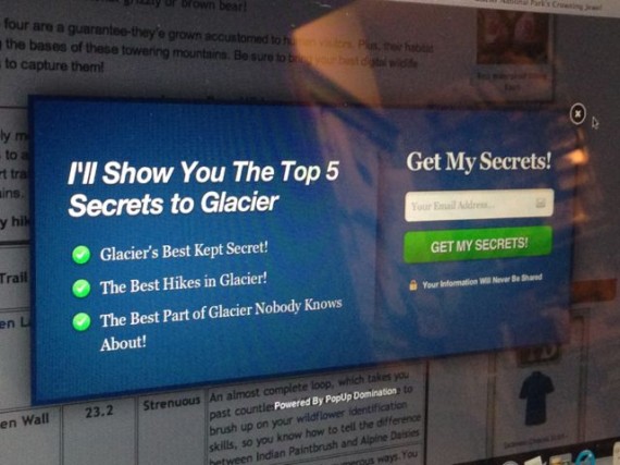 Website pop up window to sign up for special offer