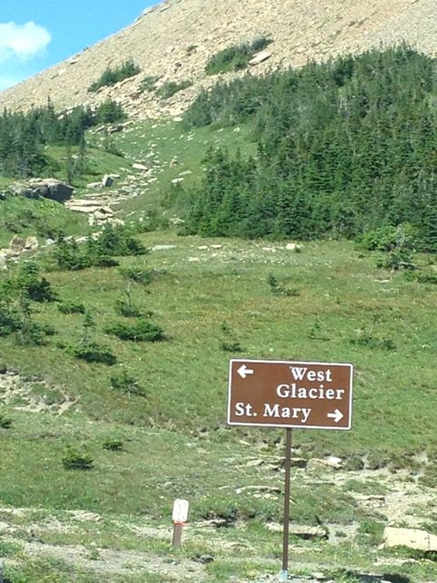Glacier National Park sign at Logan Pass