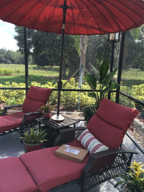 Mid Life Celebration book package on poolside chair