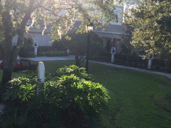 church courtyard