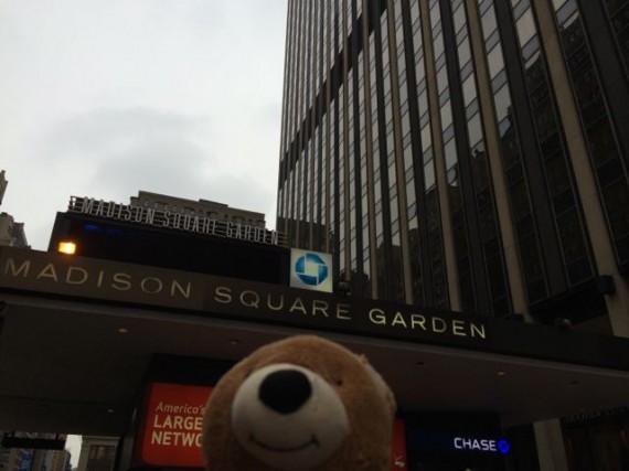 Madison Square Garden