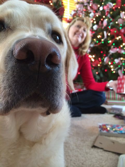 Lab and Mom