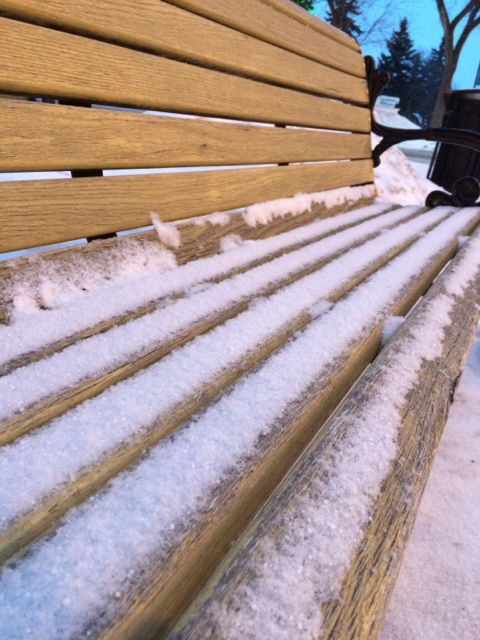 Outdoor church bench in Saskatoon winter