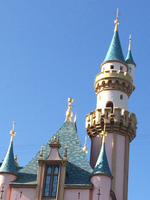 Sleeping Beauty Castle