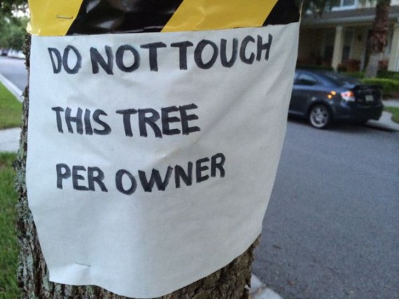 Tree warning sign