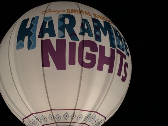 Disney night time entertainment