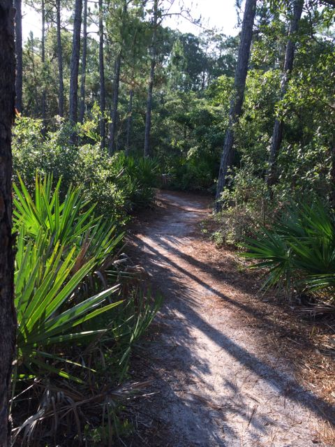 Florida hiking trail