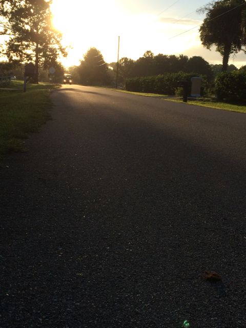 Neighborhood road at sunrise