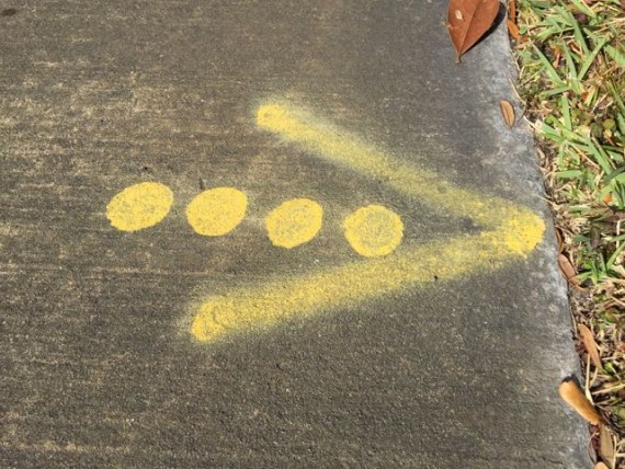 Spray painted sidewalk marker