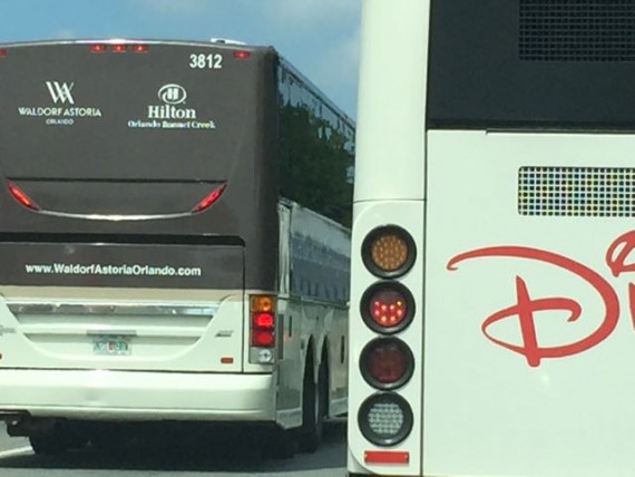 Disney busses and Disney traffic