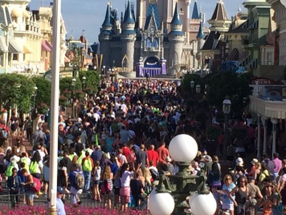 Disney's Magic Kingdom Spring Break peak attendance days