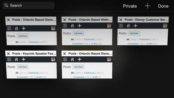 Prolific bloggers