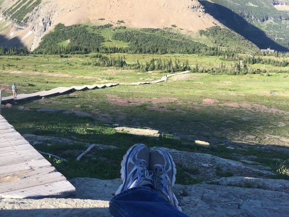 Logan Pass scenery