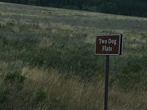 Two Dog Flats