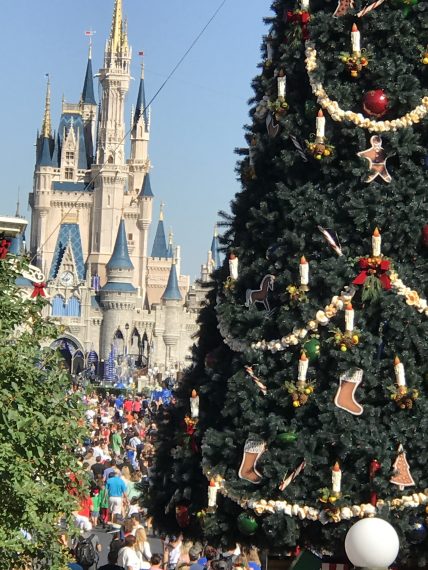 Cinderella Castle and Magic Kingdom Christmas Tree