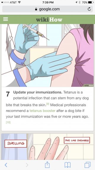 Dog bite tips