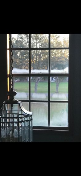 frost on florida window