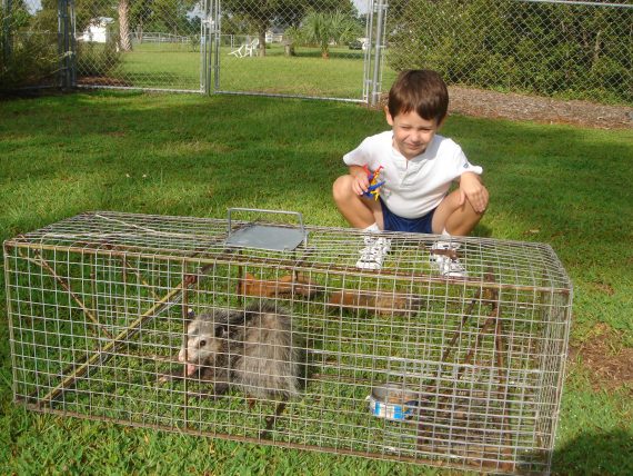 Toddler in yard