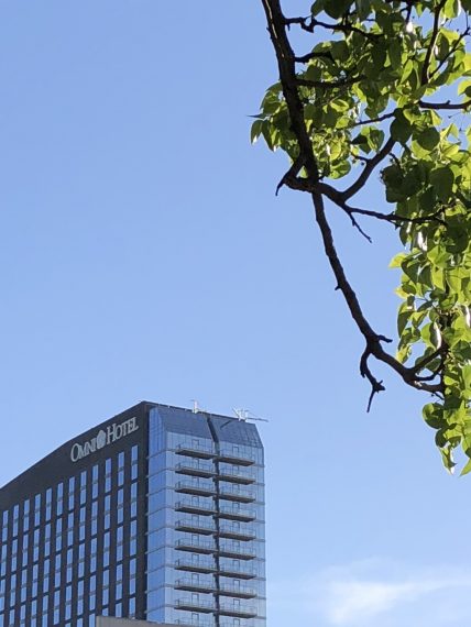 Omni Louisville