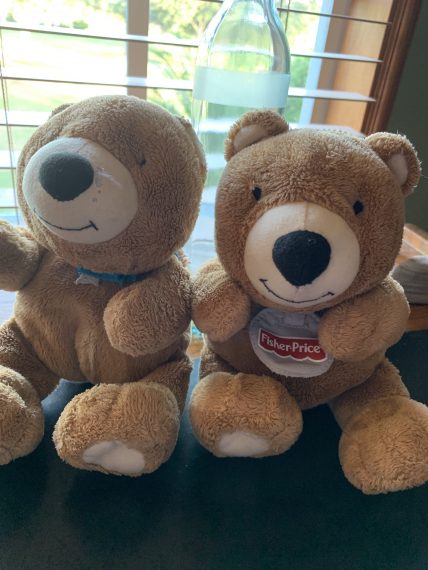 Jack the Bear