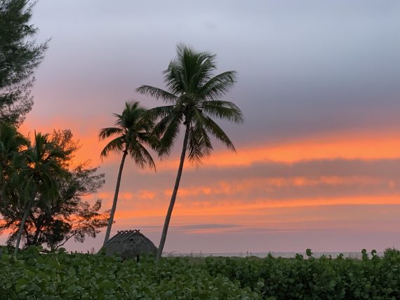 Sanibel sunrise