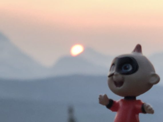 Jack Jack at Granite Park Chalet
