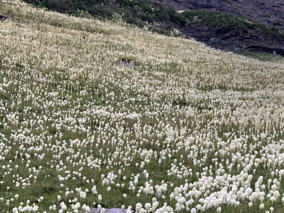Glacier National Park